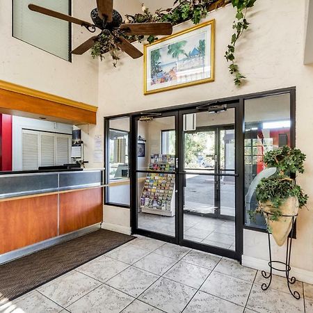 Econo Lodge Palm Harbor - Clearwater Εξωτερικό φωτογραφία